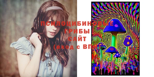стаф Магас