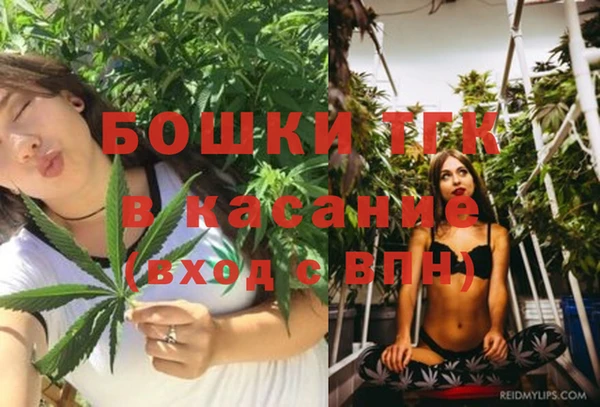 МДПВ Алзамай