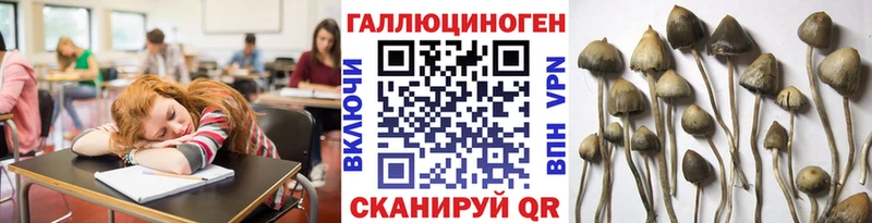 Псилоцибиновые грибы Psilocybine cubensis Саров